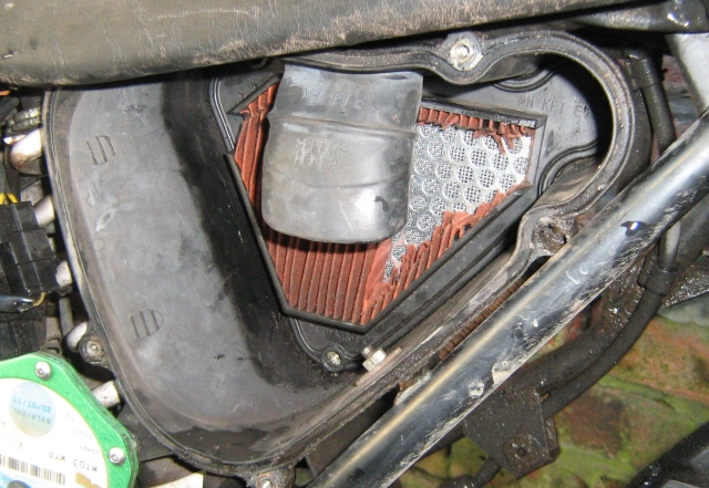 the clr 125 air filter element with about half of the paper removed showing the mesh behind